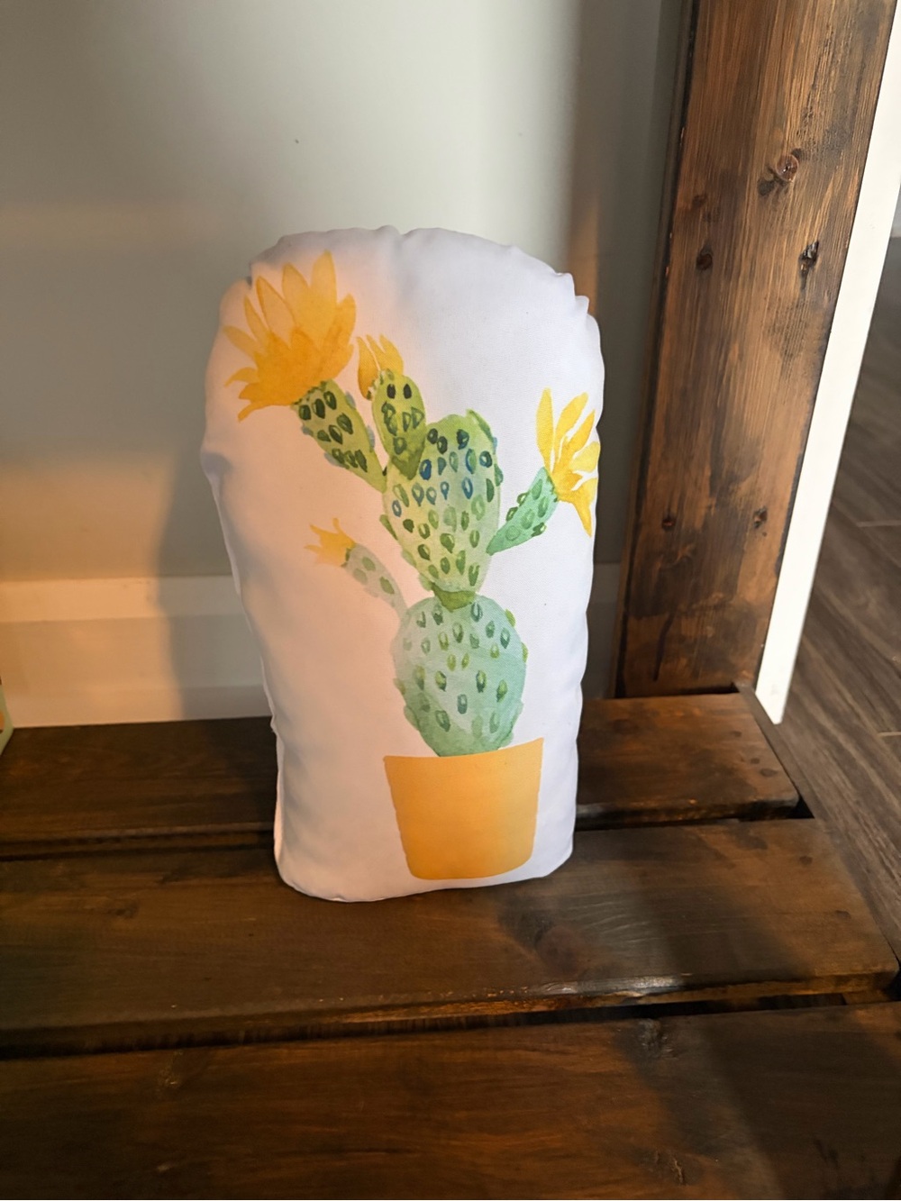 Cute Door holder/decoration cactus
